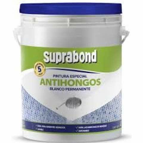 pintura-especial-antihongos-1lts-suprpah-1-b